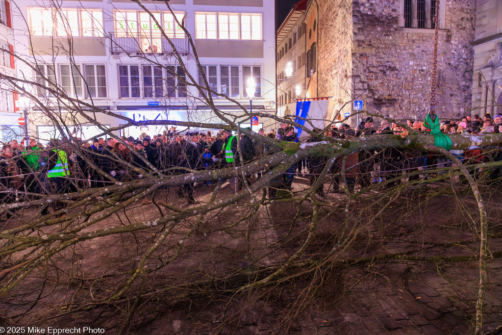 Guuggerbaum; Luzerner Fasnacht 2025