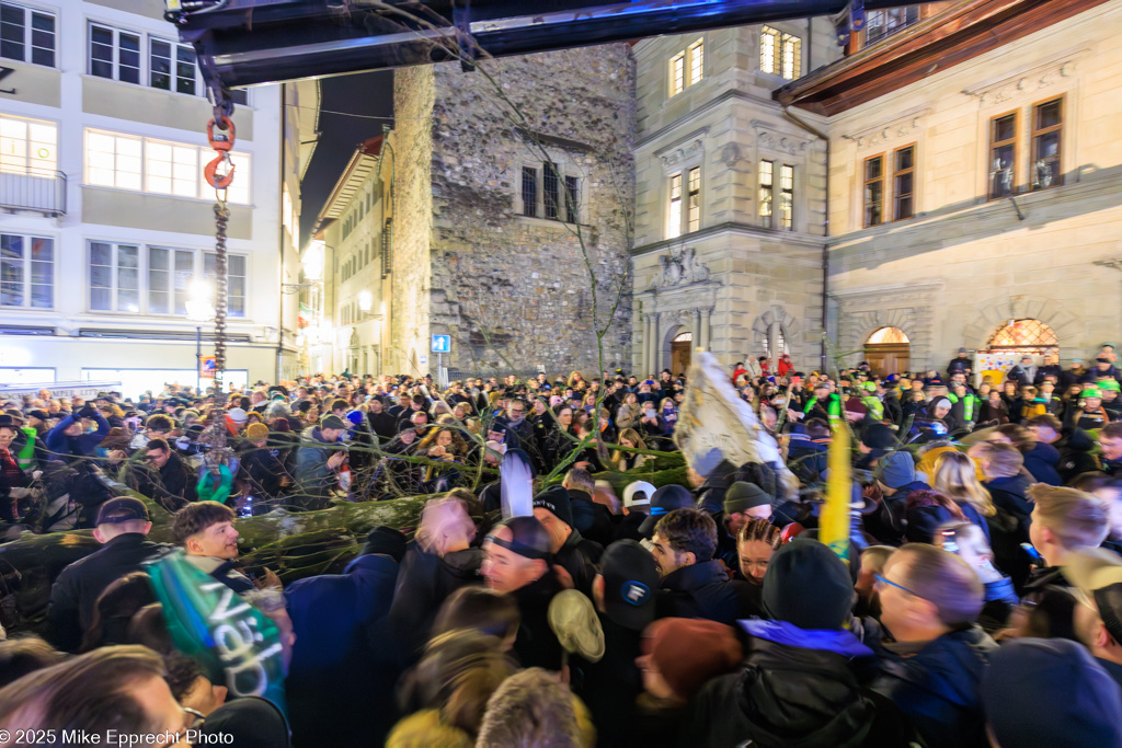 Guuggerbaum; Luzerner Fasnacht 2025