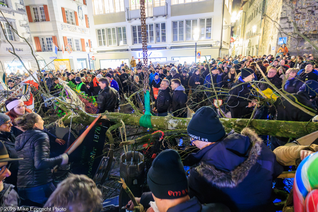 Guuggerbaum; Luzerner Fasnacht 2025