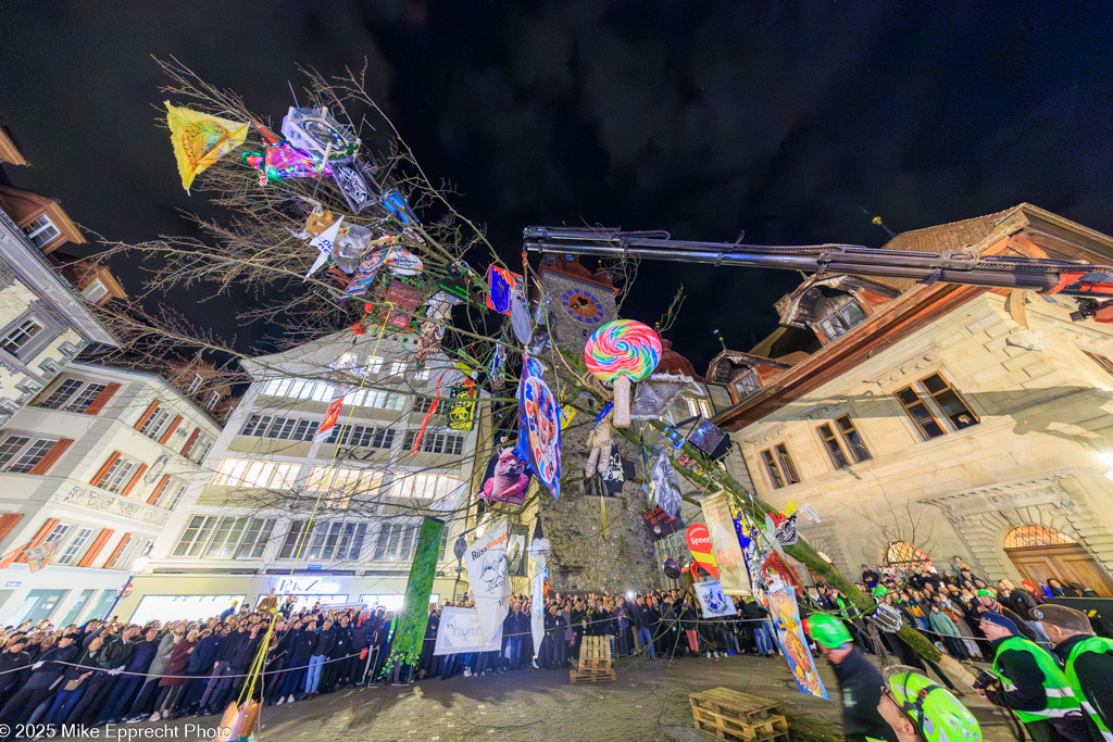 Guuggerbaum; Luzerner Fasnacht 2025