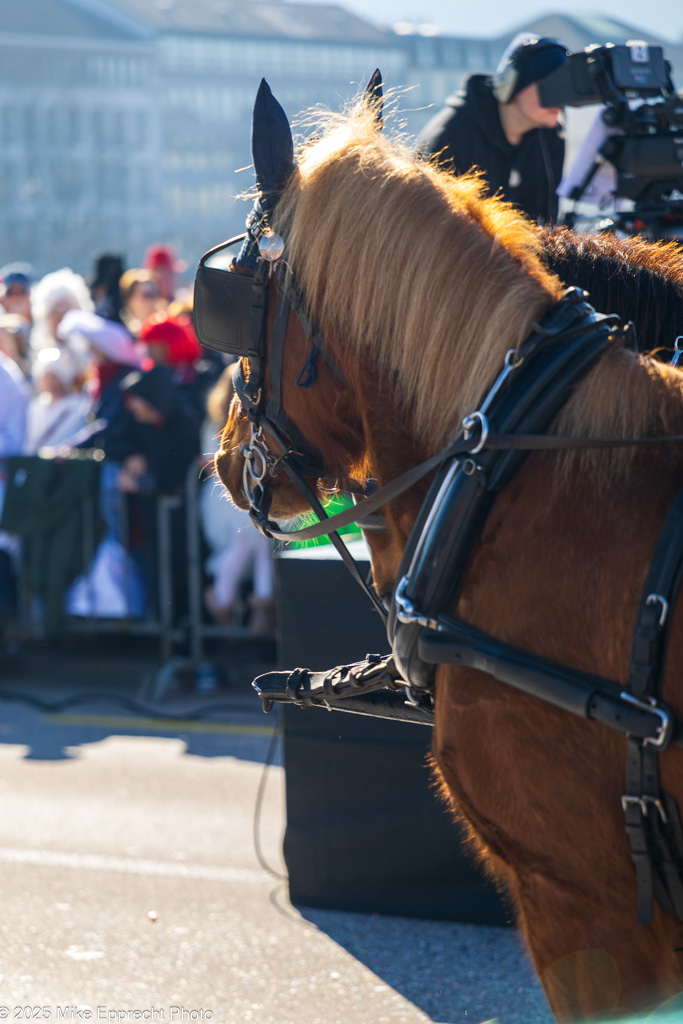 Güdis-MO; Luzerner Fasnacht 2025