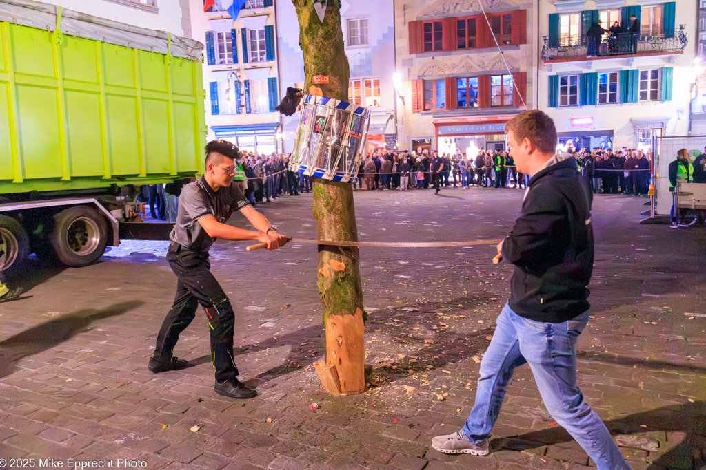 Guuggerbaum Fällen; Luzerner Fasnacht 2025